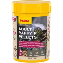 Sera Turtle adult raffy P...