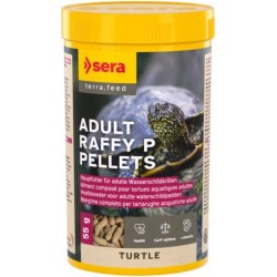 Sera Turtle adult raffy P...
