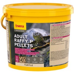 Sera Turtle adult raffy P...