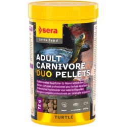 Sera Turtle adult carnivore...