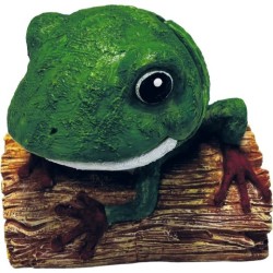 Sf air déco grenouille