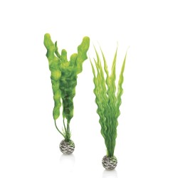 BiOrb set de plantes M vertes