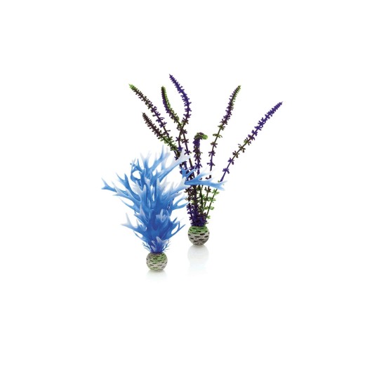 BiOrb set de plantes M bleues & violettes
