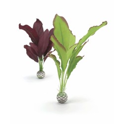 BiOrb set plantes M vertes & violettes