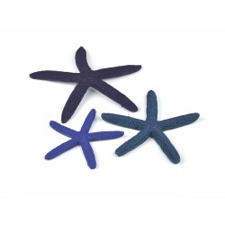 BiOrb set de 3 étoiles de mer bleues