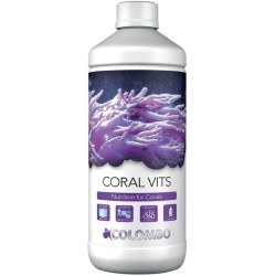 Colombo marine coral vits...