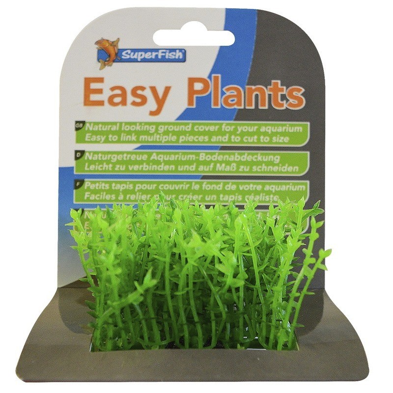 Sf easy plants carpet S 2 Cm
