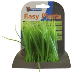 Sf easy plants carpet L 6 Cm