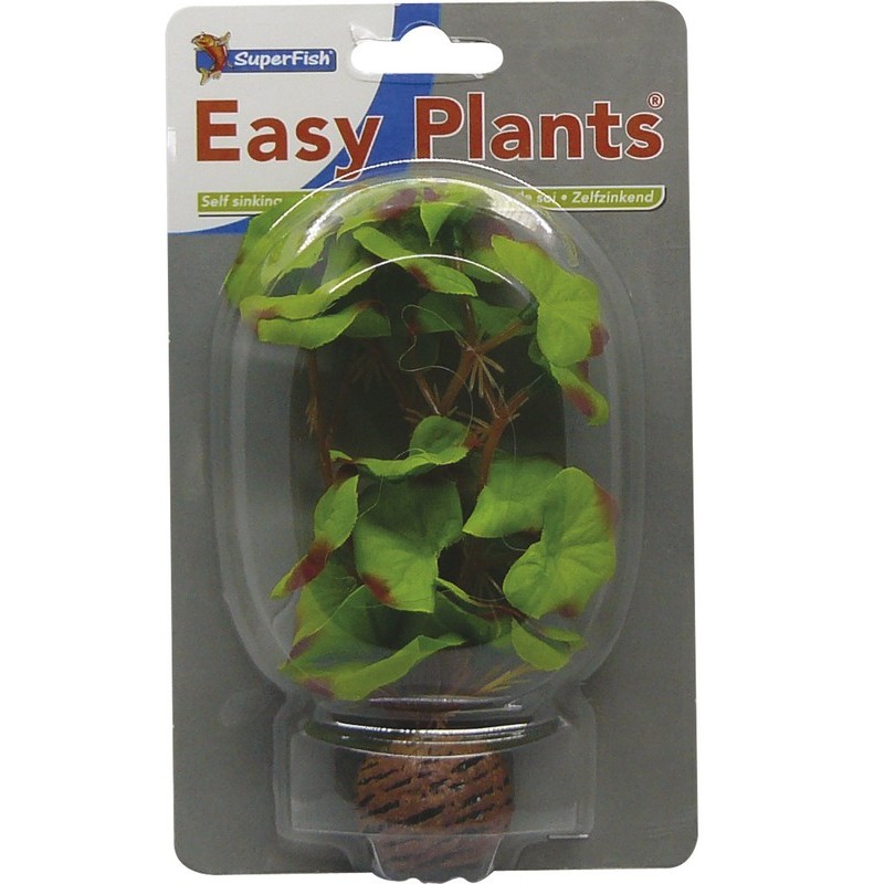 Sf easy plants avant plan 13 Cm n 1 soie