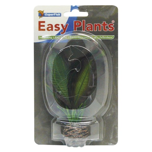 Sf easy plants avant plan 13 Cm n 3 soie