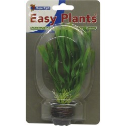 Sf easy plants avant plan...