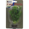 Sf easy plants avant plan 13 Cm n 6