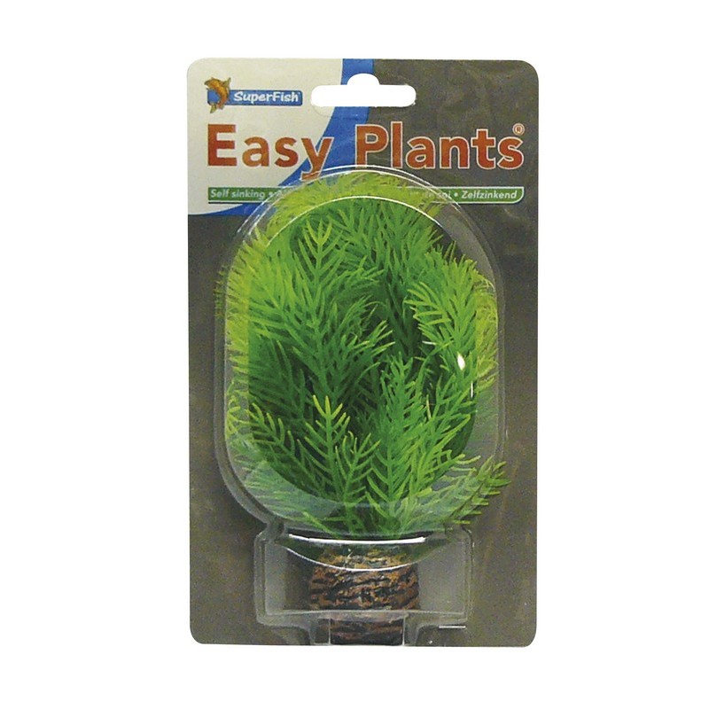 Sf easy plants avant plan 13 Cm n 9
