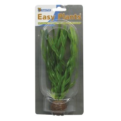 Sf easy plants moyenne 20...