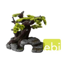 Ad bonsai ml - 26x17,5x24cm