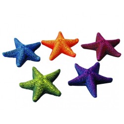 Ad starfish assorted 8,5cm