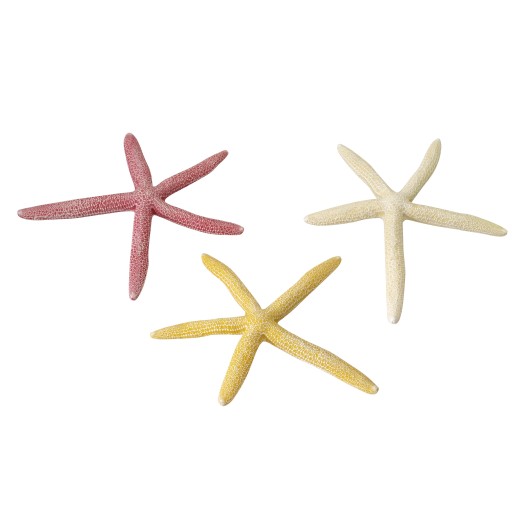 Ad starfish mix l - 18,5cm