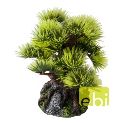 Ad bonsai mini sort b 6st -...