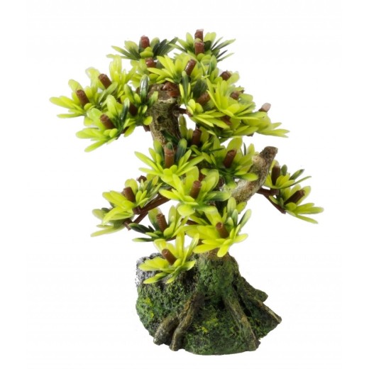 Ad bonsai medio sort b 6st - 15cm