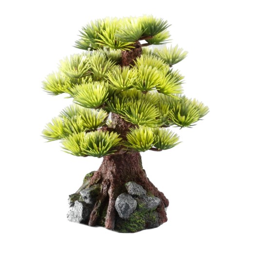 Ad bonsai medio sort c 6st - 15cm