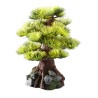 Ad bonsai medio sort c 6st - 15cm