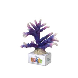 Ad coral module staghorn...