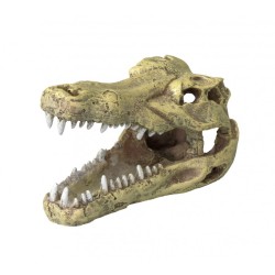 Ad crocodille head s -...