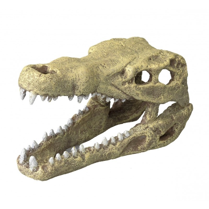 Ad crocodille head m - 19,5x9,5x10,5cm