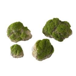 Ad moss stone with suction...