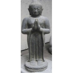 Standing buddha greeting /...