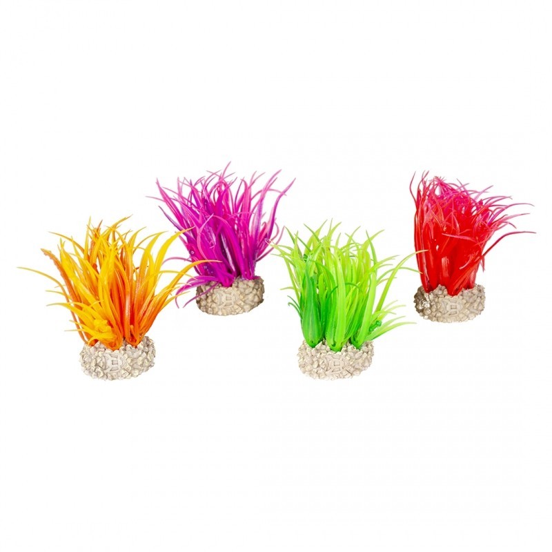Ad plante hair grass s - height 6cm couleurs mélangées