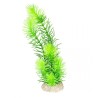 Ad plante hornwort m - height 24cm vert foncé