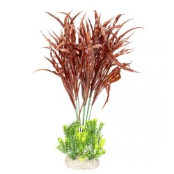 Ad plante java fern xl -...