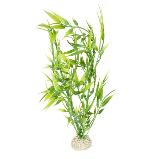 Ad plante bamboo xl - height 37cm vert