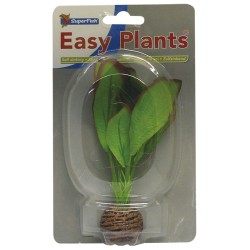 Sf easy plants avant plan 13 Cm n 2 soie