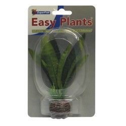 Sf easy plants avant plan 13 Cm n 4 soie