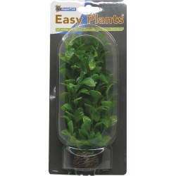 Sf easy plants moyenne 20 Cm n 2