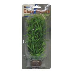 Sf easy plants moyenne 20 Cm n 3