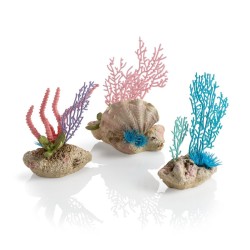 BiOrb kit corail gorgone & coquillages