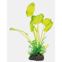Sf art plant 25 Cm echinodorus