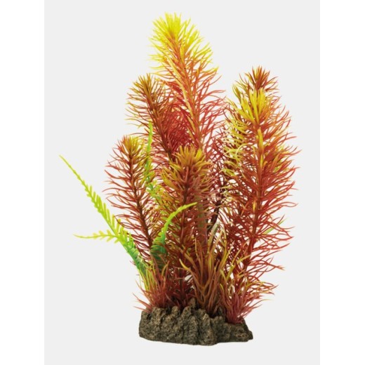 Sf art plant 25 Cm myriophyllum red