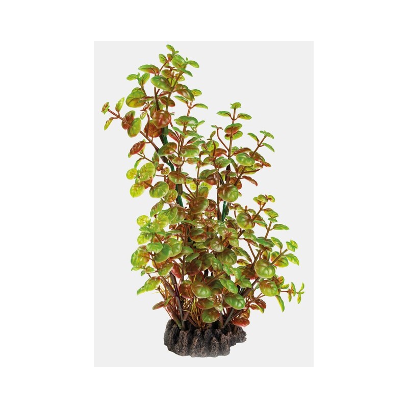 Sf art plant 25 Cm rotala