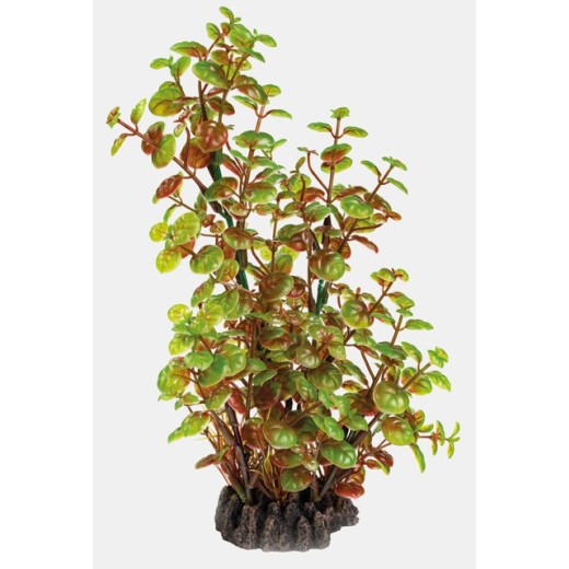 Sf art plant 25 Cm rotala