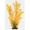 Sf art plant 40 Cm ludwigia orange