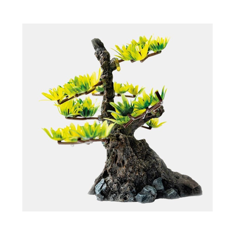Sf déco bonsai Xs