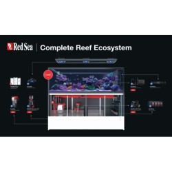 RS Reefer Peninsula P500...