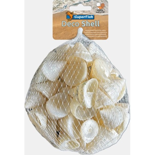 Sf deco shell spirale blanc 200 Gr