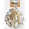 Sf deco shell spirale blanc 200 Gr