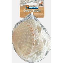 Sf deco shell scallop blanc...