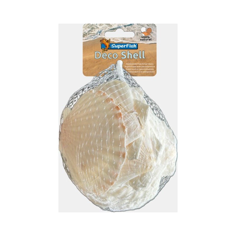 Sf deco shell scallop blanc 200 Gr